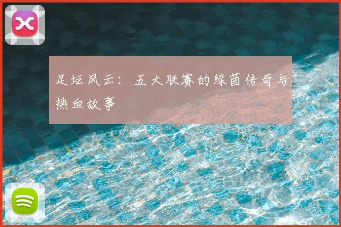 足坛风云:五大联赛的绿茵传奇与热血故事