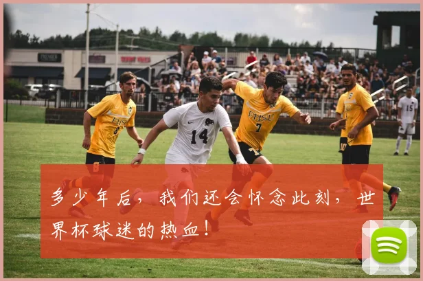 多少年后，我们还会怀念此刻，世界杯球迷的热血！